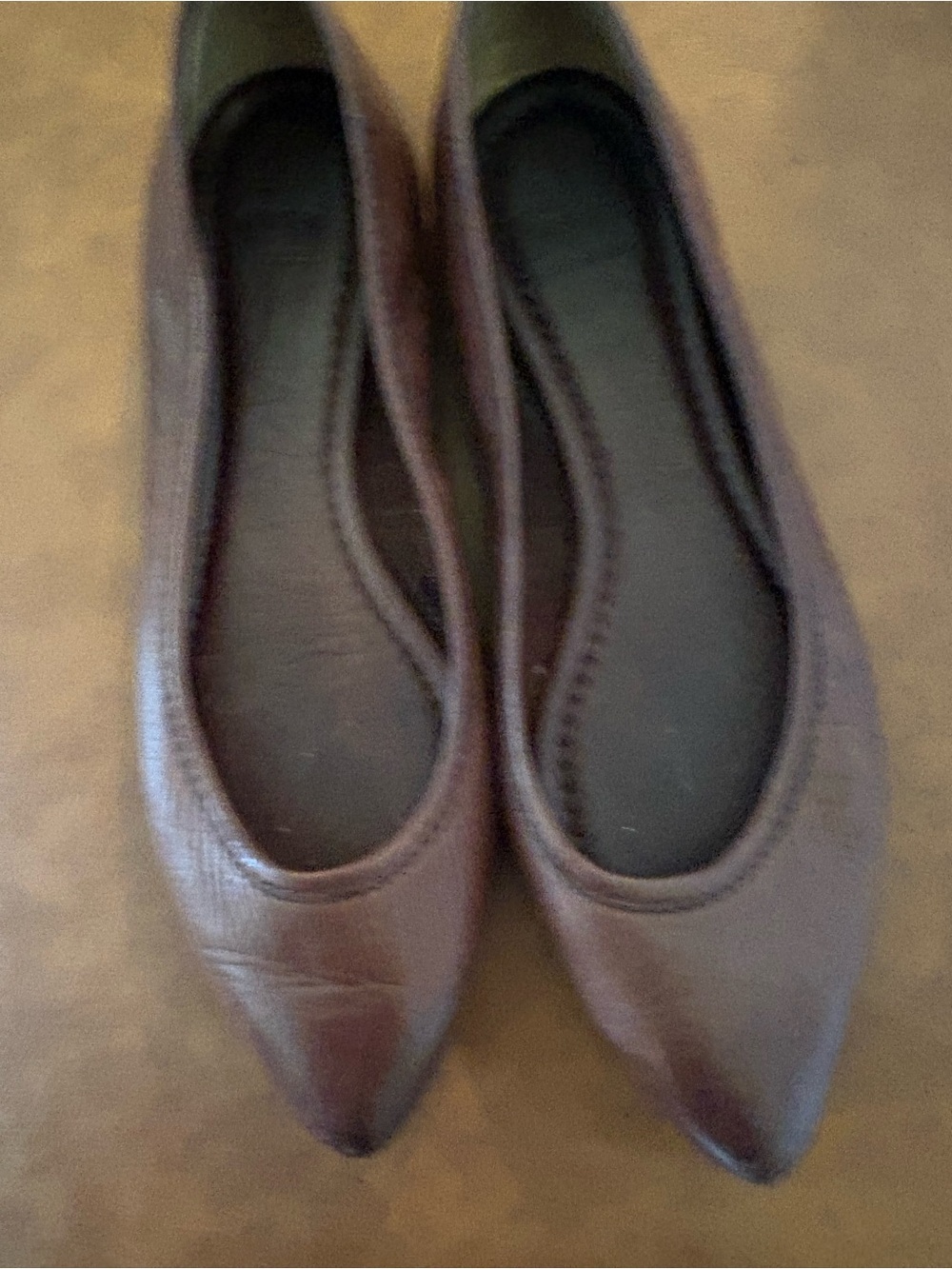 Frye Women's Pointed Toe Ballet Flats in Brown
